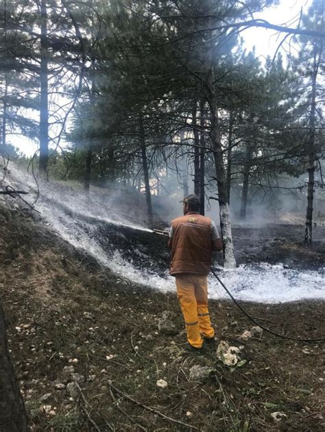 E­s­k­i­ş­e­h­i­r­­d­e­k­i­ ­o­r­m­a­n­ ­y­a­n­g­ı­n­ı­ ­s­ö­n­d­ü­r­ü­l­d­ü­